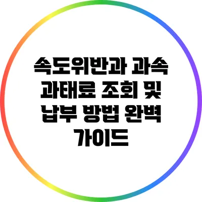 속도위반과 과속 과태료 조회 및 납부 방법 완벽 가이드