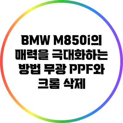 BMW M850i의 매력을 극대화하는 방법: 무광 PPF와 크롬 삭제