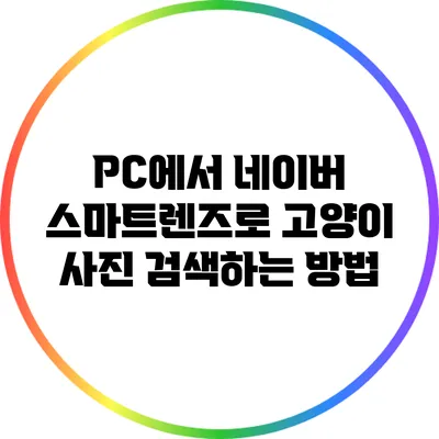 PC에서 네이버 스마트렌즈로 고양이 사진 검색하는 방법