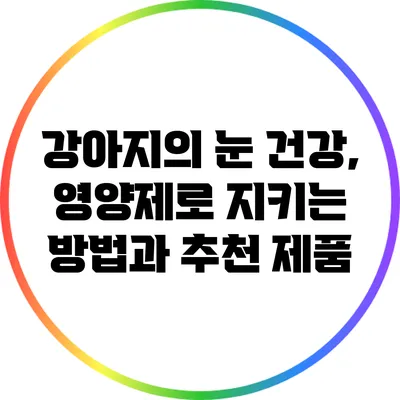 강아지의 눈 건강, 영양제로 지키는 방법과 추천 제품