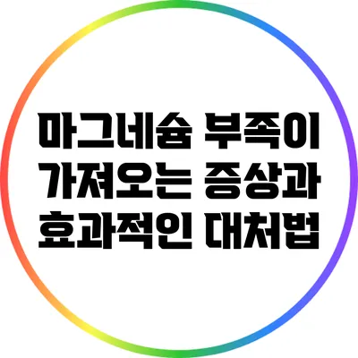 마그네슘 부족이 가져오는 증상과 효과적인 대처법