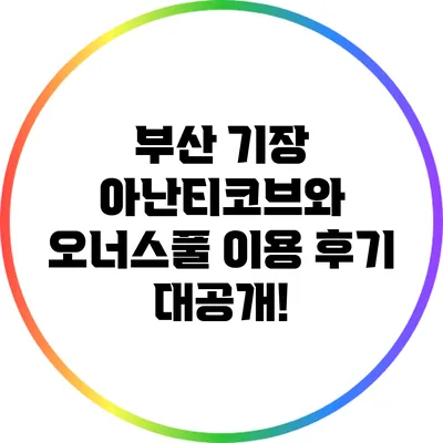 부산 기장 아난티코브와 오너스풀 이용 후기 대공개!