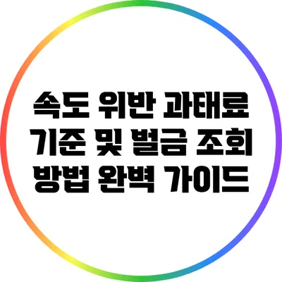 속도 위반 과태료 기준 및 벌금 조회 방법 완벽 가이드