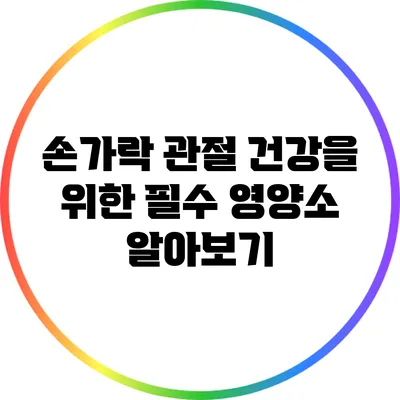 손가락 관절 건강을 위한 필수 영양소 알아보기