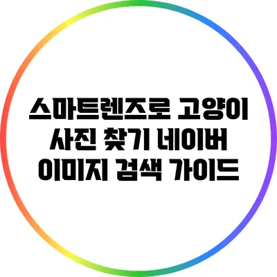 스마트렌즈로 고양이 사진 찾기: 네이버 이미지 검색 가이드