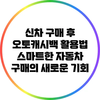 신차 구매 후 오토캐시백 활용법: 스마트한 자동차 구매의 새로운 기회