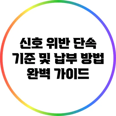 신호 위반 단속 기준 및 납부 방법 완벽 가이드