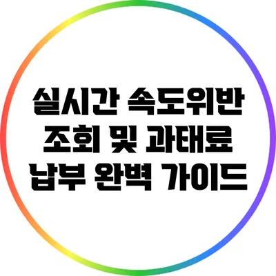 실시간 속도위반 조회 및 과태료 납부 완벽 가이드
