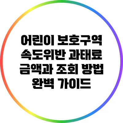 어린이 보호구역 속도위반: 과태료 금액과 조회 방법 완벽 가이드