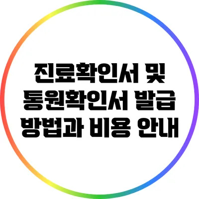 진료확인서 및 통원확인서 발급 방법과 비용 안내