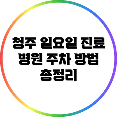 청주 일요일 진료 병원 주차 방법 총정리