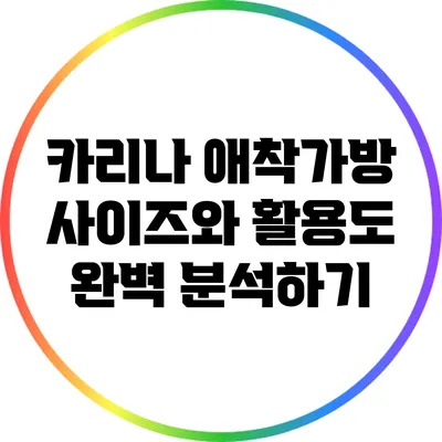 카리나 애착가방: 사이즈와 활용도 완벽 분석하기