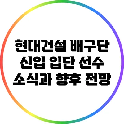 현대건설 배구단 신입 입단 선수 소식과 향후 전망