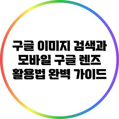 구글 이미지 검색과 모바일 구글 렌즈 활용법 완벽 가이드