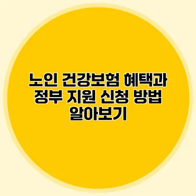 노인 건강보험 혜택과 정부 지원 신청 방법 알아보기