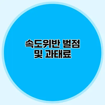 속도위반 벌점 및 과태료