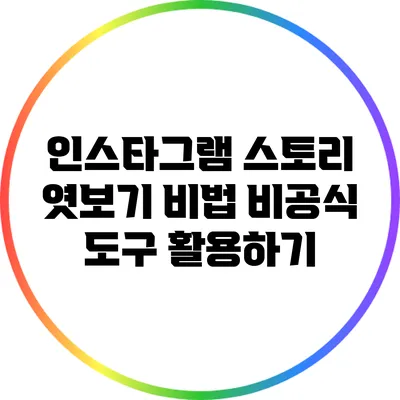 인스타그램 스토리 엿보기 비법: 비공식 도구 활용하기