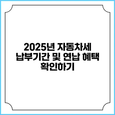 2025년 자동차세 납부기간 및 연납 혜택 확인하기