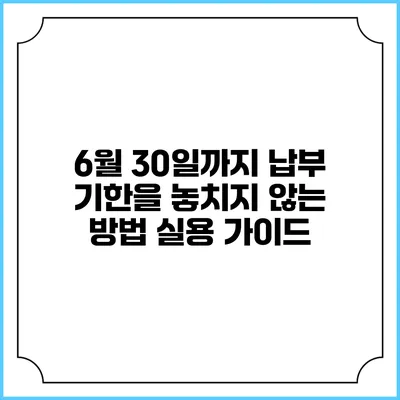 6월 30일까지 납부 기한을 놓치지 않는 방법: 실용 가이드