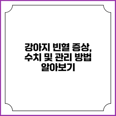 강아지 빈혈: 증상, 수치 및 관리 방법 알아보기