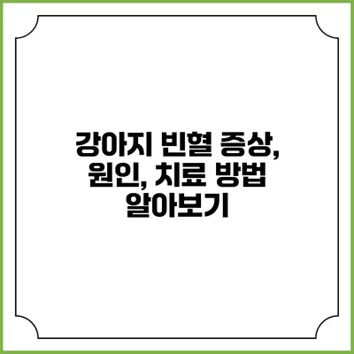 강아지 빈혈: 증상, 원인, 치료 방법 알아보기