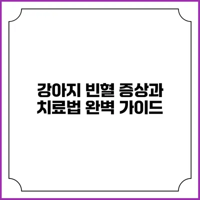 강아지 빈혈 증상과 치료법 완벽 가이드