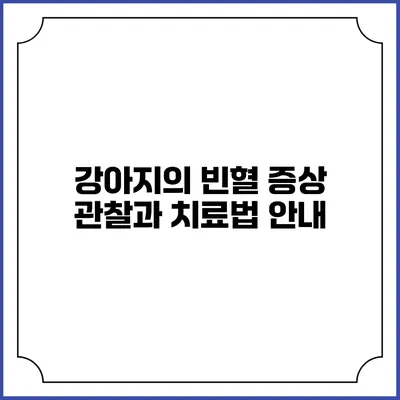 강아지의 빈혈 증상 관찰과 치료법 안내