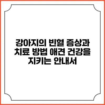 강아지의 빈혈 증상과 치료 방법: 애견 건강을 지키는 안내서