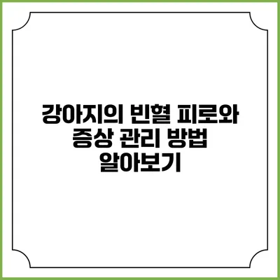 강아지의 빈혈: 피로와 증상 관리 방법 알아보기