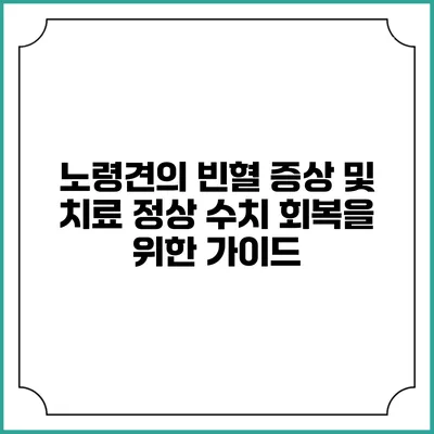 노령견의 빈혈 증상 및 치료: 정상 수치 회복을 위한 가이드