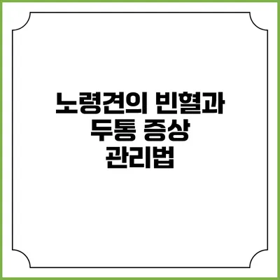 노령견의 빈혈과 두통 증상 관리법