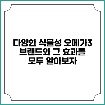 다양한 식물성 오메가3 브랜드와 그 효과를 모두 알아보자