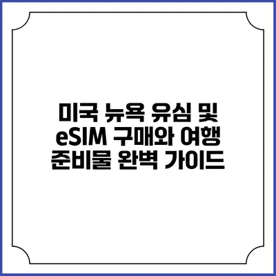 미국 뉴욕 유심 및 eSIM 구매와 여행 준비물 완벽 가이드