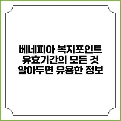 베네피아 복지포인트 유효기간의 모든 것: 알아두면 유용한 정보