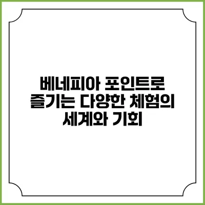 베네피아 포인트로 즐기는 다양한 체험의 세계와 기회