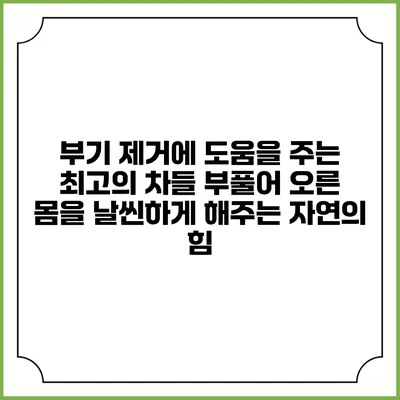 부기 제거에 도움을 주는 최고의 차들: 부풀어 오른 몸을 날씬하게 해주는 자연의 힘