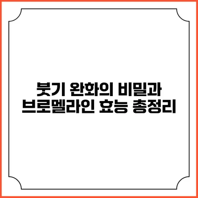 붓기 완화의 비밀과 브로멜라인 효능 총정리