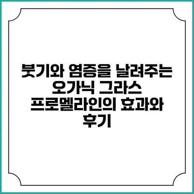 붓기와 염증을 날려주는 오가닉 그라스 프로멜라인의 효과와 후기