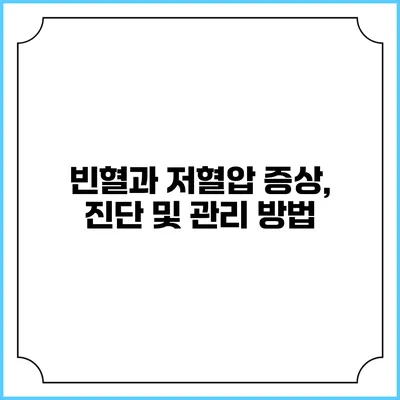 빈혈과 저혈압: 증상, 진단 및 관리 방법