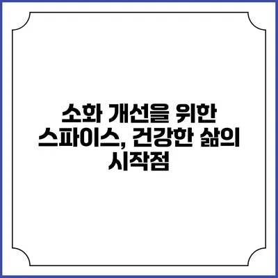 소화 개선을 위한 스파이스, 건강한 삶의 시작점