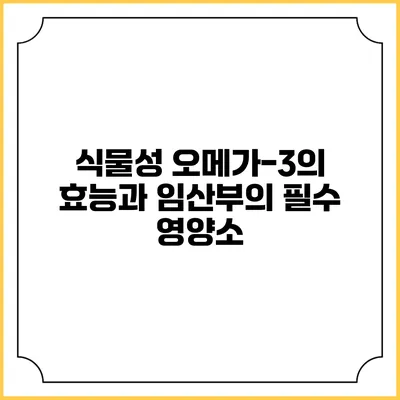 식물성 오메가-3의 효능과 임산부의 필수 영양소