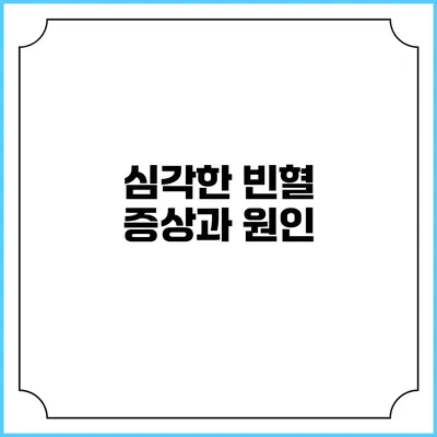 심각한 빈혈 증상과 원인