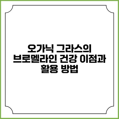 오가닉 그라스의 브로멜라인: 건강 이점과 활용 방법