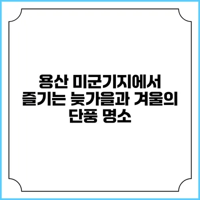 용산 미군기지에서 즐기는 늦가을과 겨울의 단풍 명소