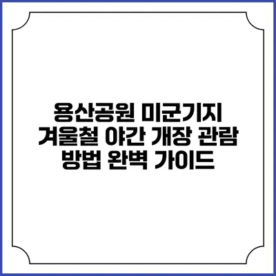 용산공원 미군기지 겨울철 야간 개장 관람 방법 완벽 가이드