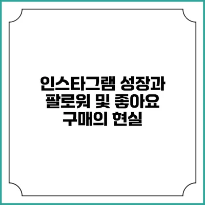 인스타그램 성장과 팔로워 및 좋아요 구매의 현실