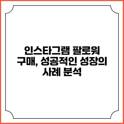 인스타그램 팔로워 구매, 성공적인 성장의 사례 분석