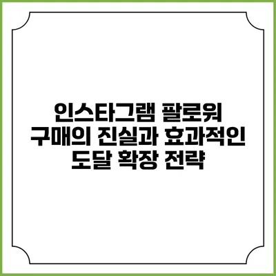 인스타그램 팔로워 구매의 진실과 효과적인 도달 확장 전략