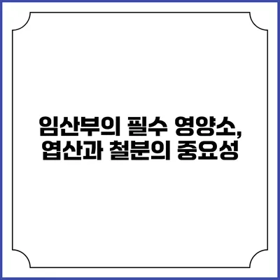 임산부의 필수 영양소, 엽산과 철분의 중요성