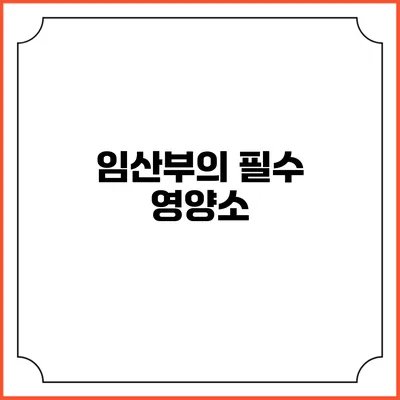 임산부의 필수 영양소